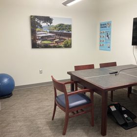 Active Study Room Law Library with yoga ball/base and under-desk elliptical