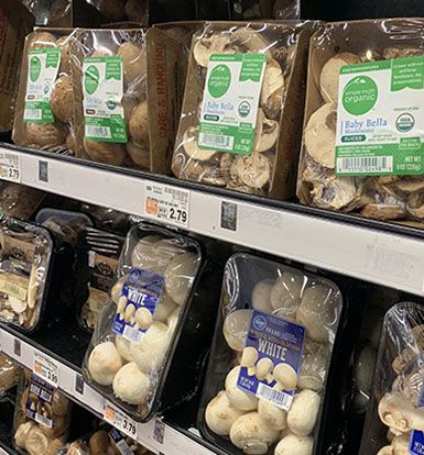 Mushrooms in Grocery Store