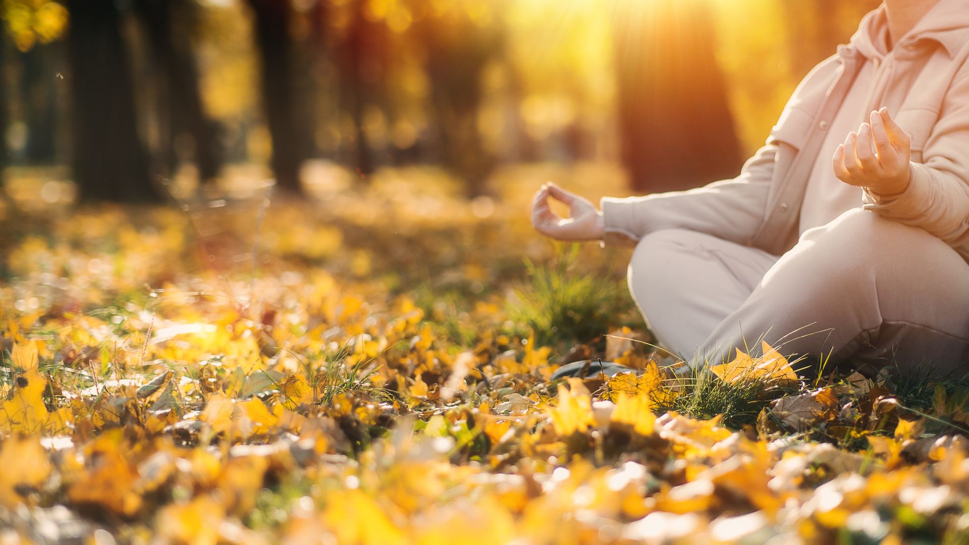 Woman practicing yoga in forest during fall